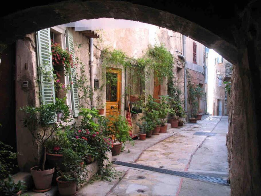 Studio Calme Et Agreable Avec Acces Jardin Partage Le Bar-sur-Loup 외부 사진